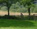 Commonwealth Games - Cross Country