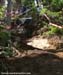 MTB Nationals - Friday Training