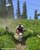 MTB National Championships - DH