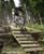 MTB National Championships - DH