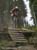 MTB National Championships - DH