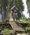 MTB National Championships - DH