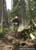 MTB National Championships - DH