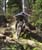 MTB National Championships - DH