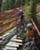 MTB National Championships - DH