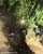 MTB National Championships - DH