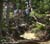 MTB National Championships - DH