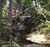 MTB National Championships - DH