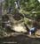 MTB National Championships - DH