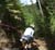 MTB National Championships - DH