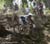 MTB National Championships - DH