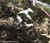 MTB National Championships - DH