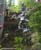 MTB National Championships - DH