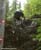 MTB National Championships - DH