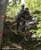 MTB National Championships - DH