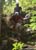 MTB National Championships - DH