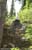 MTB National Championships - DH