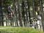 MTB National Championships - Dual