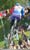 World MTB Championships - Men DH