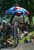 World MTB Championships - Men DH