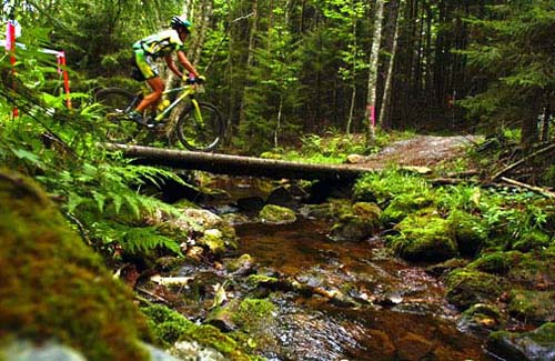 norba