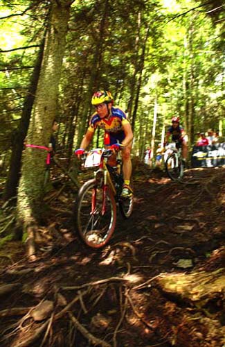 norba
