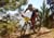 Telluride 360