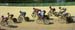 tracknats