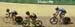tracknats