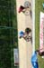 tracknats