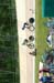 tracknats