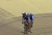 tracknats