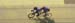 tracknats