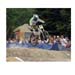 Mont Ste Anne CDN Men DH