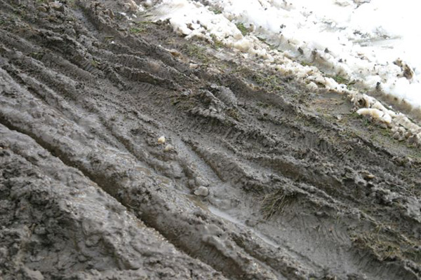 Ontario Provincial Cyclo-cross Championships