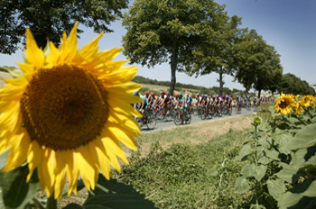 Tour de France: Stage 13