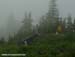 Grouse Mountain World Cup: Women's XC
