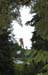 grouse