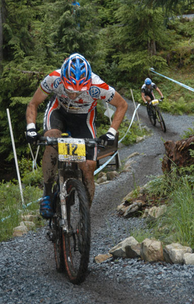 grouse