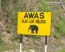 2003 Tour de Langkawi - Stage 4