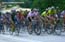 2003 Tour de Langkawi - Stage 8