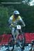 Mountain Bike World Championships DH