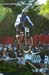 Mountain Bike World Championships DH