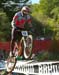 Mountain Bike World Championships DH