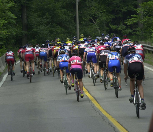 National Road Cycling Championships