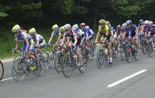 National Road Cycling Championships