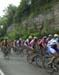 National Road Cycling Championships
