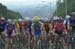 National Road Cycling Championships