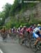 National Road Cycling Championships