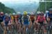 National Road Cycling Championships
